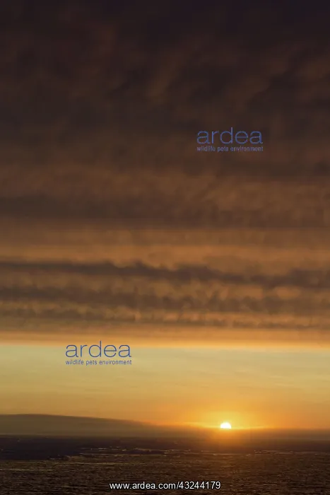 : Sunset over seascape