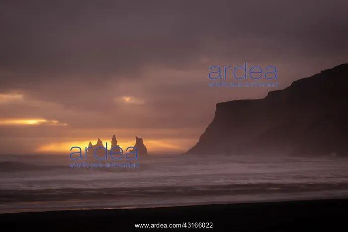 : Sunset over the seastacks of Reynisdrangar : Sunset over the seastacks of Reynisdrangar