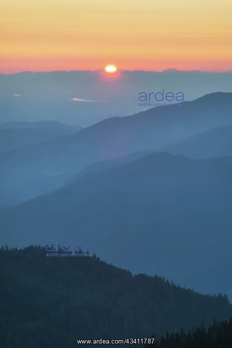 : Sunset from Skyline Divide. Mount Baker Wilderness : Sunset from Skyline Divide. Mount Baker Wilderness