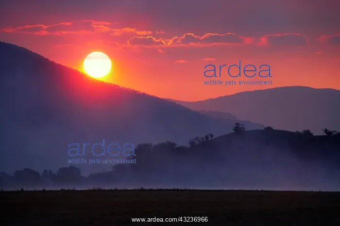  : Sunset though Smokey Haze from Burnoffs
