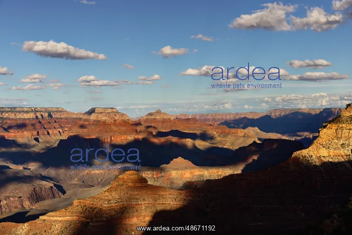 : Sunset from south rim, Grand Canyon National Park, Arizona : Sunset from south rim, Grand Canyon National Park, Arizona