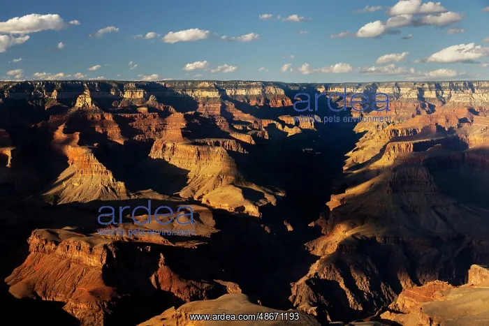 : Sunset from south rim, Grand Canyon National Park, Arizona : Sunset from south rim, Grand Canyon National Park, Arizona