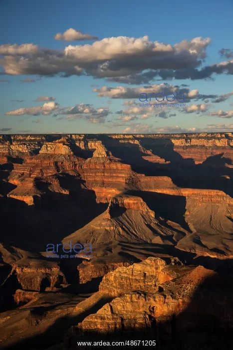 : Sunset from south rim, Grand Canyon National Park, Arizona : Sunset from south rim, Grand Canyon National Park, Arizona