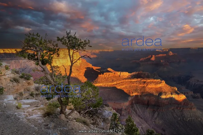 : Sunset from south rim, Grand Canyon National Park, Arizona : Sunset from south rim, Grand Canyon National Park, Arizona