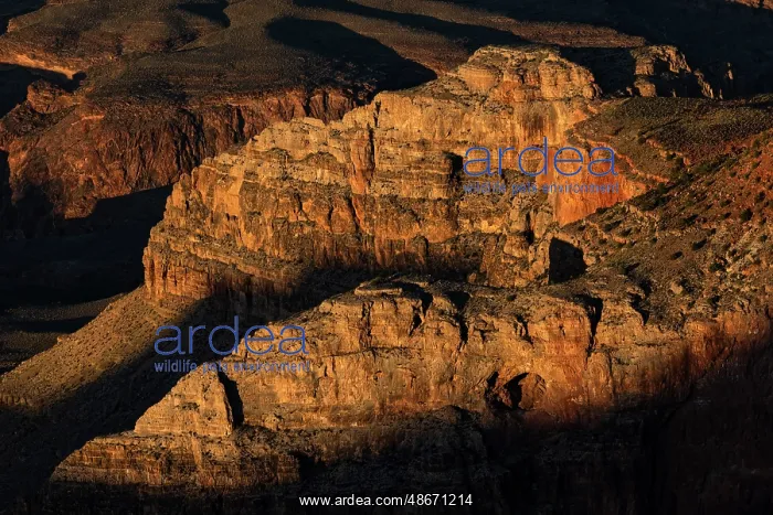  : Sunset from south rim, Grand Canyon National Park, Arizona