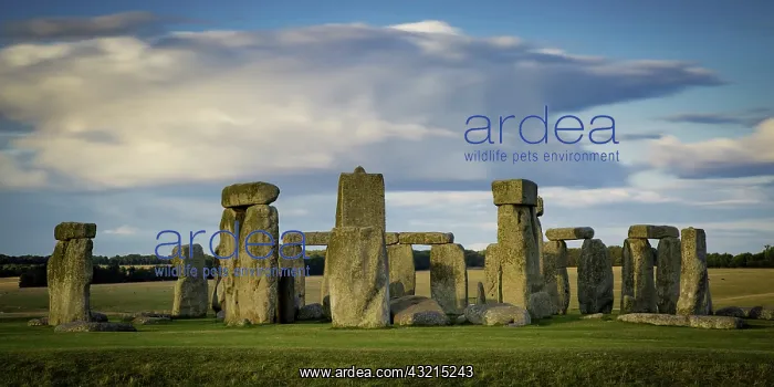 : Sunset over Stonehenge, Wiltshire, England : Sunset over Stonehenge, Wiltshire, England