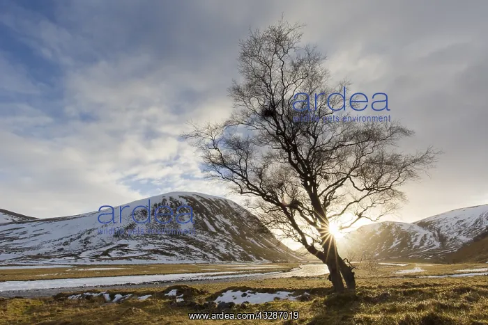 : Sunset at Strathdearn valley in the Highlands - : Sunset at Strathdearn valley in the Highlands -