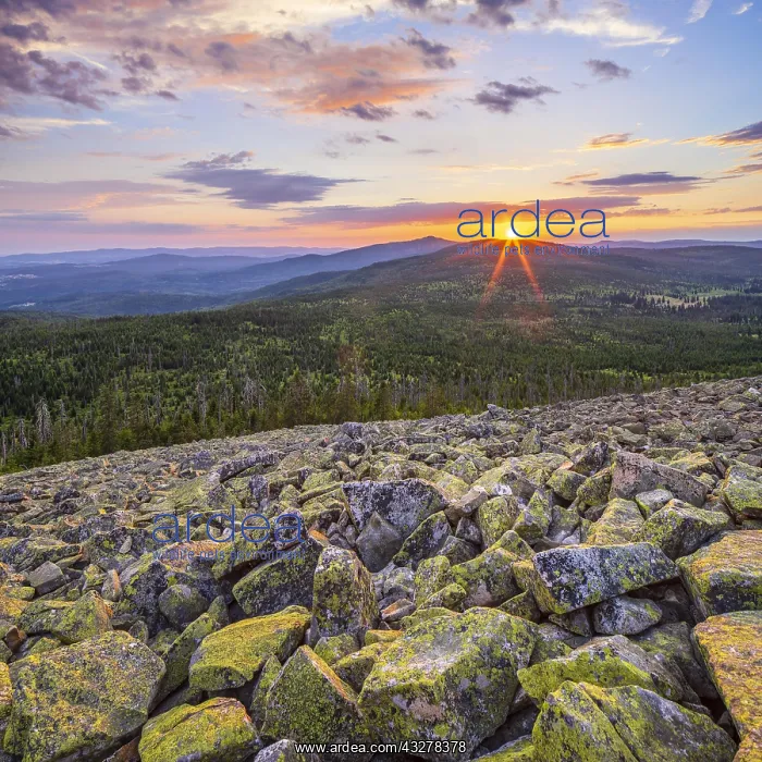 : Sunset on the summit of the Lusen, view over Blockhalde : Sunset on the summit of the Lusen, view over Blockhalde