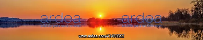 : Sunset, Waginger See, Bavaria, Germany, Europe : Sunset, Waginger See, Bavaria, Germany, Europe