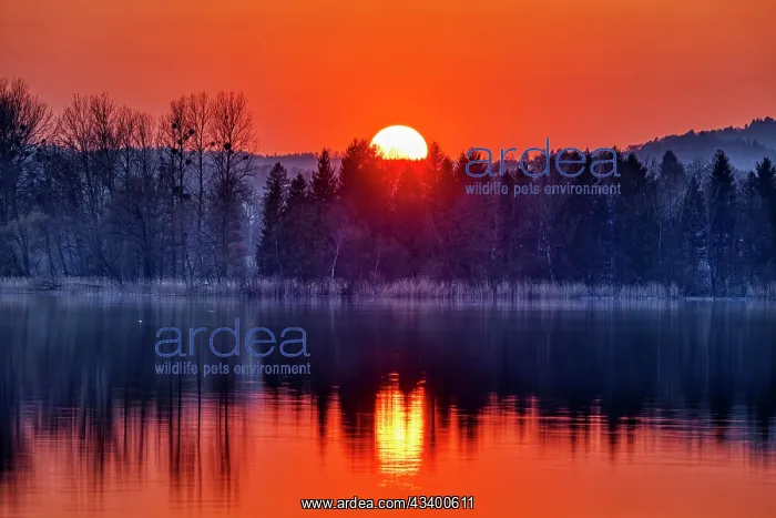 : Sunset, Waginger See, Bavaria, Germany, Europe : Sunset, Waginger See, Bavaria, Germany, Europe