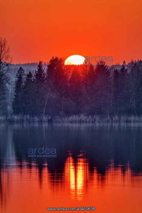  : Sunset, Waginger See, Bavaria, Germany, Europe