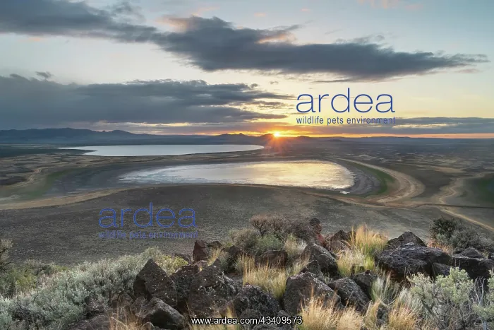 : Sunset over Warner Lakes Wetlands, seen from Hart : Sunset over Warner Lakes Wetlands, seen from Hart
