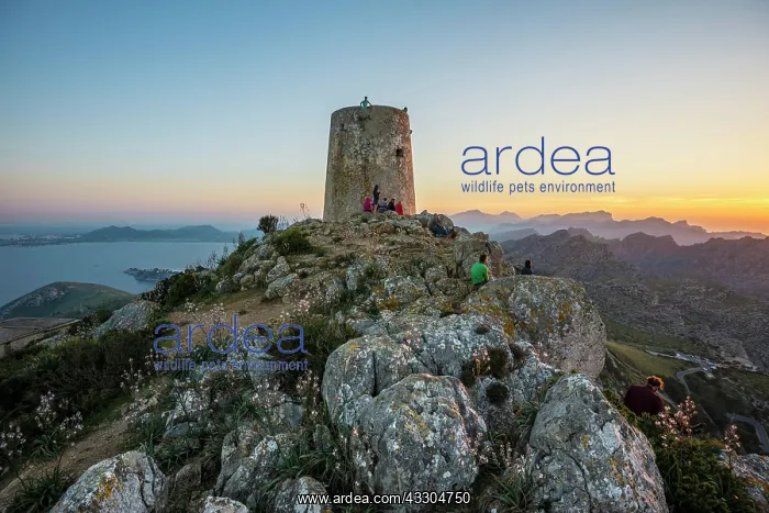 : Sunset, Watchtower Talaia d'Albercutx, Cap Formentor : Sunset, Watchtower Talaia d'Albercutx, Cap Formentor
