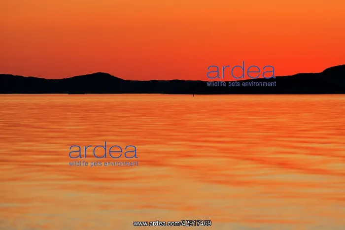  : Sunset over water