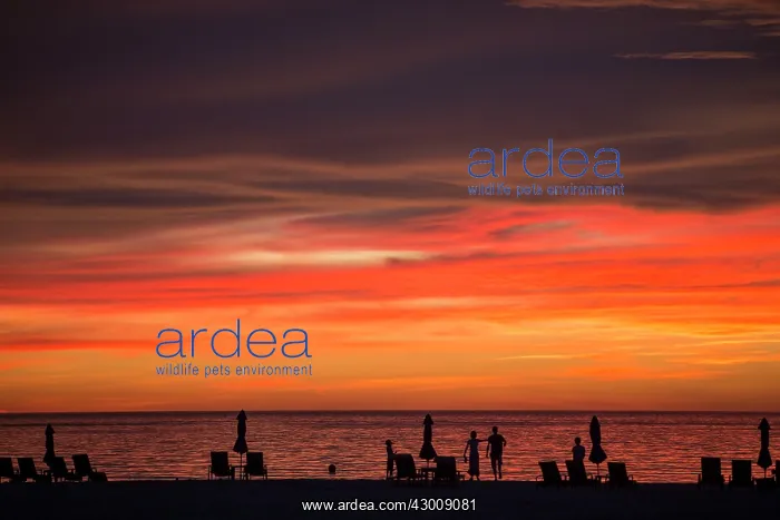 : Sunset over water : Sunset over water