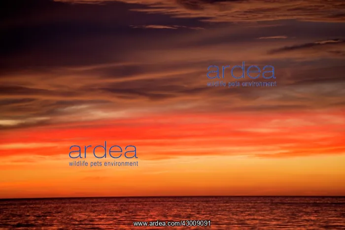 : Sunset over water : Sunset over water