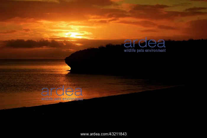 : Sunset on the water along the coastline : Sunset on the water along the coastline