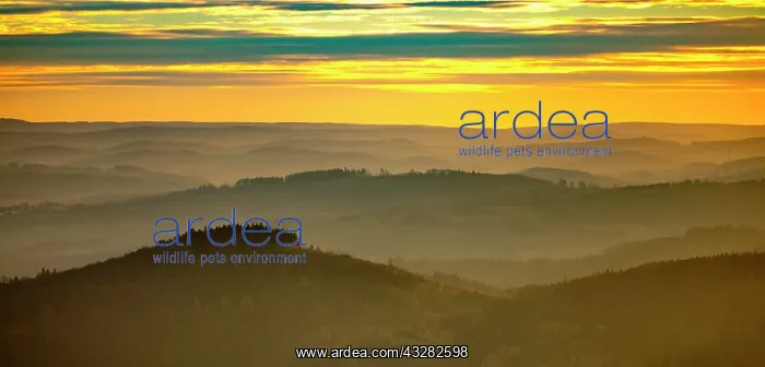 : Sunset over wooded hills near Sundern, Sauerland : Sunset over wooded hills near Sundern, Sauerland