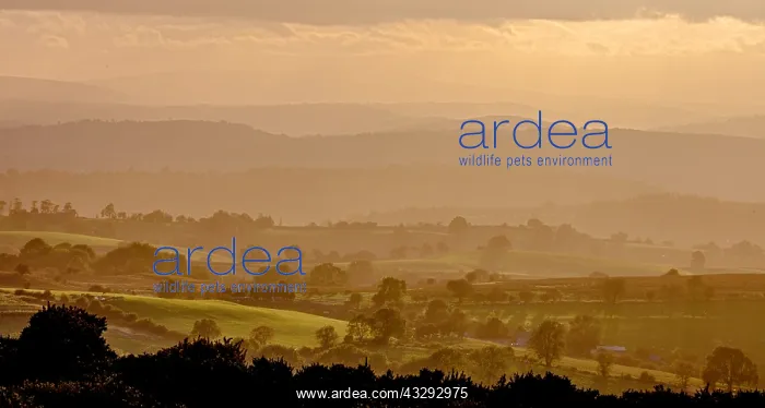 : Sunset, Wye valley, Powys, Wales : Sunset, Wye valley, Powys, Wales