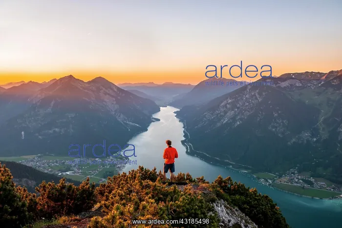 : Sunset, young man looking over mountain landscape : Sunset, young man looking over mountain landscape