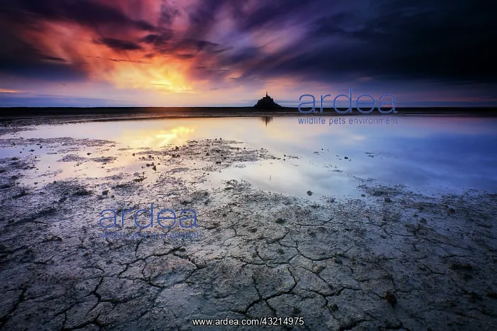 : Sunsete at Mont-Saint-Michel bay, Normandy, France : Sunsete at Mont-Saint-Michel bay, Normandy, France