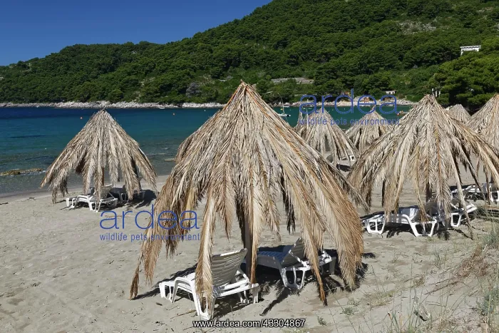 : Sunshades at the sand beach at Saplunara, island : Sunshades at the sand beach at Saplunara, island