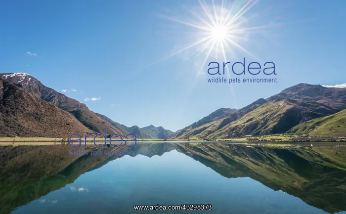 : Sunstar, mountains reflecting in lake, Moke Lake : Sunstar, mountains reflecting in lake, Moke Lake