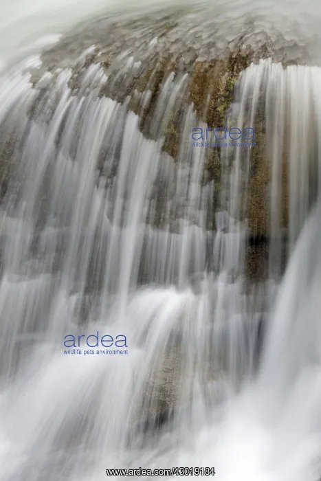  : Sunwapta Falls lower falls