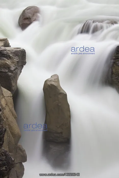  : Sunwapta Falls upper falls