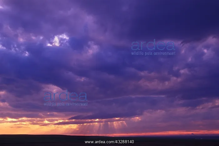 : A supercell thunderstorm rotates across central : A supercell thunderstorm rotates across central