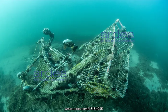 : Supermarket trolleys in Thau pond, Balaruc, H&, x9ca1;ult : Supermarket trolleys in Thau pond, Balaruc, H&, x9ca1;ult