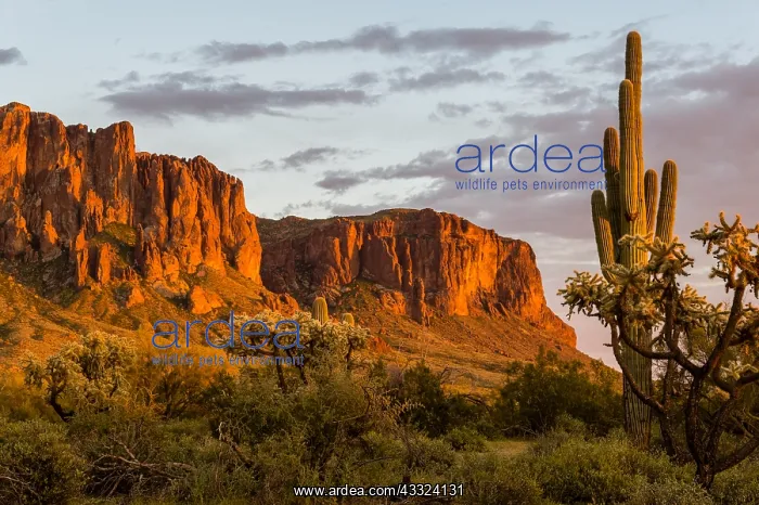 : Superstition Mountain and Lost Dutchman State Park : Superstition Mountain and Lost Dutchman State Park