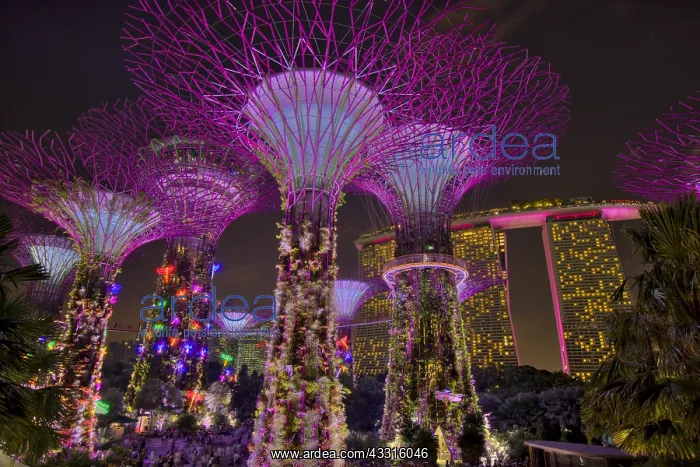 : Supertrees Lit after Dark Marina Bay Gardens Singapore : Supertrees Lit after Dark Marina Bay Gardens Singapore