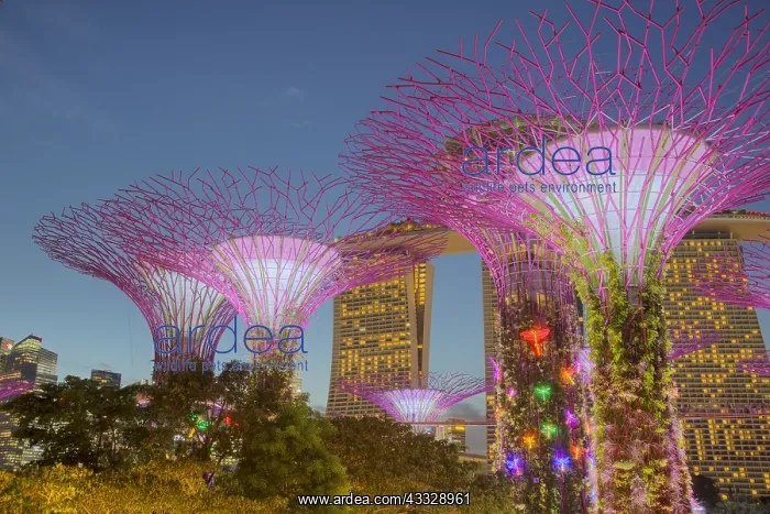 : Supertrees Lit at Night Marina Bay Gardens Singapore : Supertrees Lit at Night Marina Bay Gardens Singapore