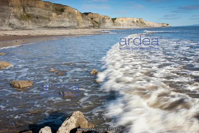 : Surf with cliffs, Dunraven Bay, Glamorgan Heritage : Surf with cliffs, Dunraven Bay, Glamorgan Heritage