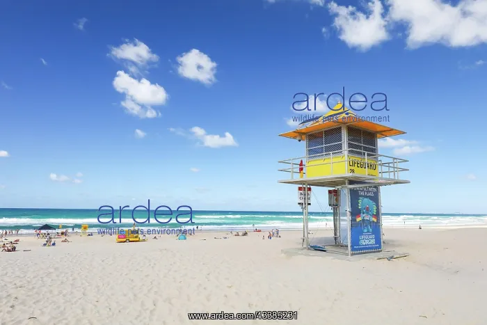 : Surf lifesaving signage and tower in Broadbeach, G : Surf lifesaving signage and tower in Broadbeach, G