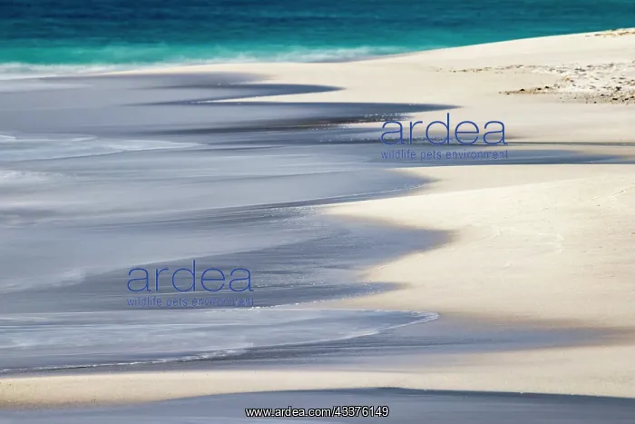 : Surf pattern washing up on white sandy beach, Espanola : Surf pattern washing up on white sandy beach, Espanola