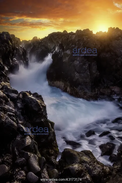 : Surf in the Red Chasm, L'Etang Sale, Reunion Island : Surf in the Red Chasm, L'Etang Sale, Reunion Island