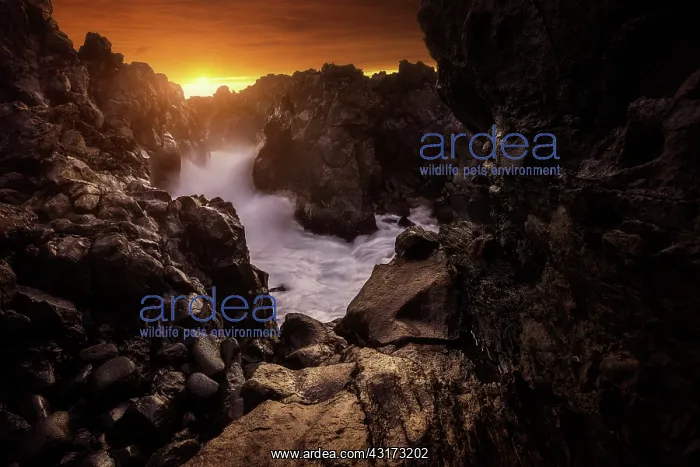 : Surf in the Red Chasm, L'Etang Sale, Reunion Island : Surf in the Red Chasm, L'Etang Sale, Reunion Island