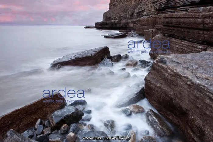 : Surf on the rocky coast with cliffs, Dunraven Bay : Surf on the rocky coast with cliffs, Dunraven Bay