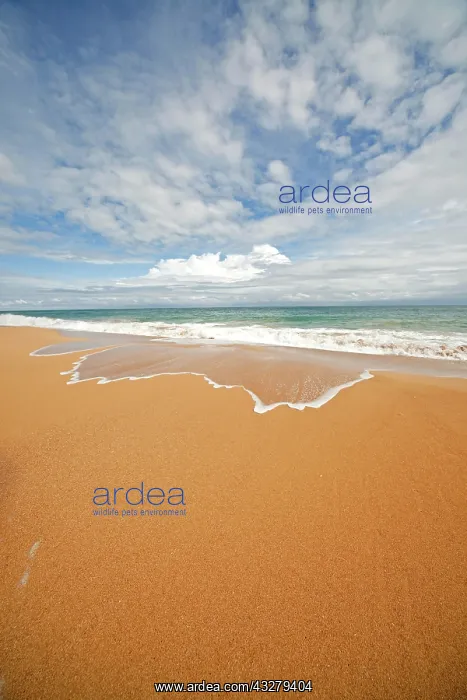 : Surf on the sandy beach of Bluff Beach on the island : Surf on the sandy beach of Bluff Beach on the island