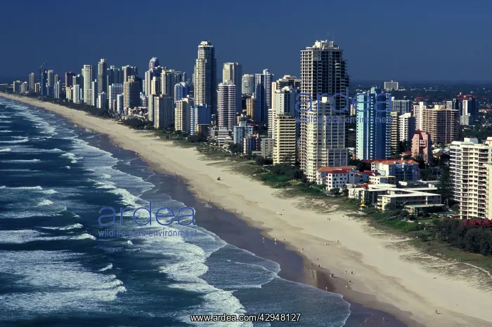 : Surfers Paradise - aerial : Surfers Paradise - aerial