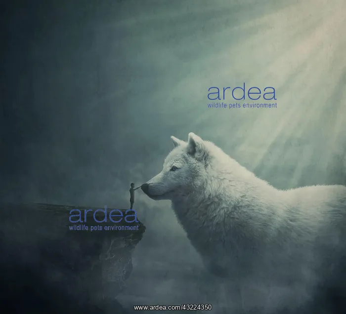 : Surreal dreamland scene with a person on the edge : Surreal dreamland scene with a person on the edge