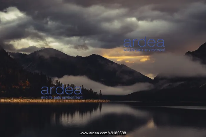 : Surreal light atmosphere at sunrise at Plansee : Surreal light atmosphere at sunrise at Plansee