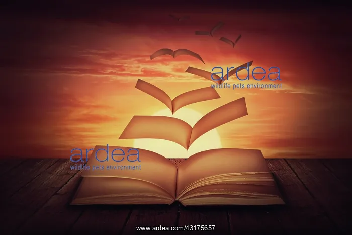 : Surreal scene with book pages transforms into magical : Surreal scene with book pages transforms into magical