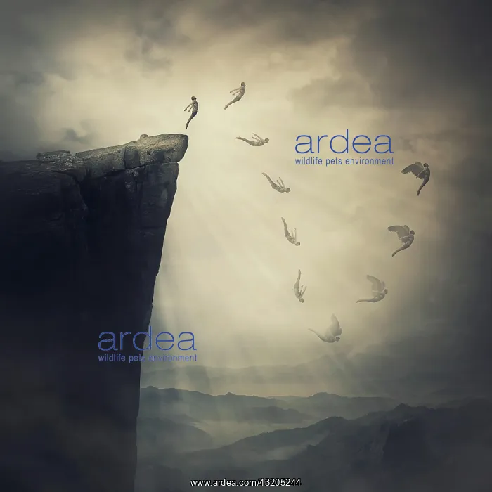 : Surreal scene, determined man jumping from the edge : Surreal scene, determined man jumping from the edge