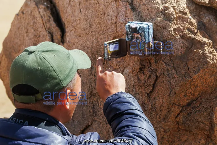 : SURVEILLANCE CAMERA : SURVEILLANCE CAMERA