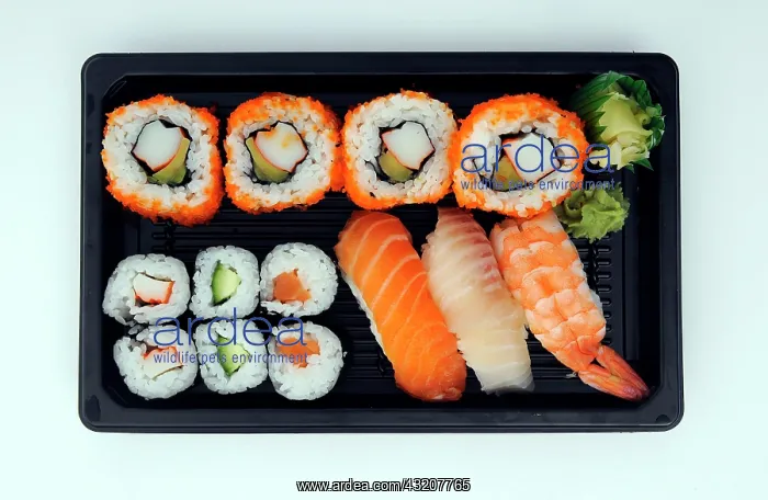 : Sushi for take away : Sushi for take away