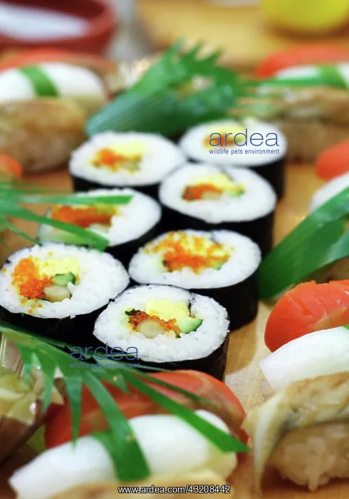 : Sushi, Honshu, Japan, Asia : Sushi, Honshu, Japan, Asia