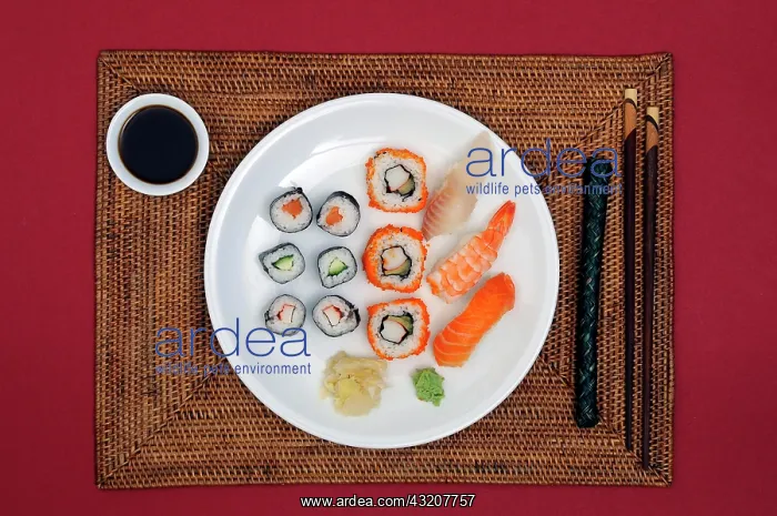 : Sushi menu : Sushi menu